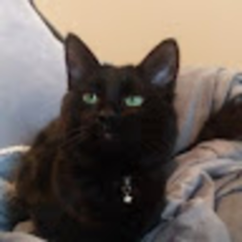 Meet your Posher, Lola